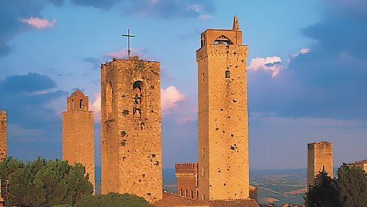 Exclusive Truffle Hunting in Tuscany
